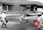 Image vannage Corée, 1936, de la seconde 31 séquences d'archives historiques vidéo 65675028862