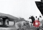 Image vannage Corée, 1936, de la seconde 57 séquences d'archives historiques vidéo 65675028862