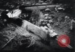 Image le talonnement et le meulage Corée, 1936, de la seconde 17 séquences d'archives historiques vidéo 65675028863