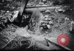 Image le talonnement et le meulage Corée, 1936, de la seconde 19 séquences d'archives historiques vidéo 65675028863