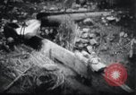 Image le talonnement et le meulage Corée, 1936, de la seconde 20 séquences d'archives historiques vidéo 65675028863