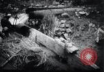 Image le talonnement et le meulage Corée, 1936, de la seconde 23 séquences d'archives historiques vidéo 65675028863