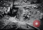 Image le talonnement et le meulage Corée, 1936, de la seconde 25 séquences d'archives historiques vidéo 65675028863