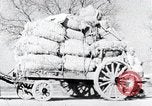 Image Bullock de chariots Corée, 1936, de la seconde 17 séquences d'archives historiques vidéo 65675028864