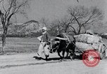 Image Bullock de chariots Corée, 1936, de la seconde 20 séquences d'archives historiques vidéo 65675028864