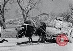Image Bullock de chariots Corée, 1936, de la seconde 24 séquences d'archives historiques vidéo 65675028864
