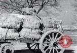 Image Bullock de chariots Corée, 1936, de la seconde 32 séquences d'archives historiques vidéo 65675028864