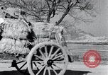 Image Bullock de chariots Corée, 1936, de la seconde 33 séquences d'archives historiques vidéo 65675028864