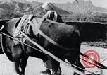 Image Bullock de chariots Corée, 1936, de la seconde 38 séquences d'archives historiques vidéo 65675028864
