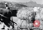 Image Bullock de chariots Corée, 1936, de la seconde 39 séquences d'archives historiques vidéo 65675028864