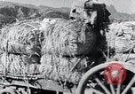 Image Bullock de chariots Corée, 1936, de la seconde 40 séquences d'archives historiques vidéo 65675028864