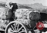 Image Bullock de chariots Corée, 1936, de la seconde 41 séquences d'archives historiques vidéo 65675028864
