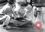 Image des travailleurs coréens Corée, 1936, de la seconde 20 séquences d'archives historiques vidéo 65675028865