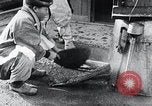 Image des travailleurs coréens Corée, 1936, de la seconde 23 séquences d'archives historiques vidéo 65675028865