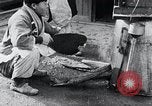 Image des travailleurs coréens Corée, 1936, de la seconde 24 séquences d'archives historiques vidéo 65675028865