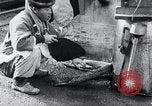 Image des travailleurs coréens Corée, 1936, de la seconde 26 séquences d'archives historiques vidéo 65675028865
