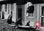 Immagine di Le ragazze in coreano Corea, 1936, secondo 23 filmato di repertorio 65675028868
