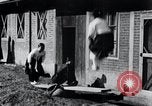 Immagine di Le ragazze in coreano Corea, 1936, secondo 25 filmato di repertorio 65675028868