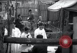 Immagine di Armi e contrabands Seoul COREA, 1948, secondo 23 filmato di repertorio 65675028876