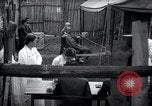 Immagine di Armi e contrabands Seoul COREA, 1948, secondo 34 filmato di repertorio 65675028876