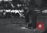 Image d'enfants coréens Séoul Corée, 1948, de la seconde 33 séquences d'archives historiques vidéo 65675028879