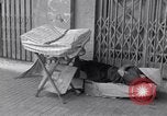 Image of deserted streets Saigon Vietnam, 1955, second 29 stock footage video 65675028885