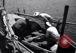 Image of French naval soldiers French Indo China, 1947, second 33 stock footage video 65675028889