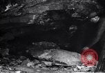 Standbild rescue Squad Franklin New Jersey USA, 1914, aus Sekunde 15 historischem Filmmaterial Videoclip 65675028900