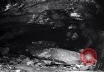 Standbild rescue Squad Franklin New Jersey USA, 1914, aus Sekunde 17 historischem Filmmaterial Videoclip 65675028900