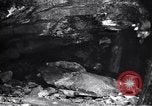Standbild rescue Squad Franklin New Jersey USA, 1914, aus Sekunde 20 historischem Filmmaterial Videoclip 65675028900