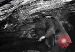 Standbild rescue Squad Franklin New Jersey USA, 1914, aus Sekunde 26 historischem Filmmaterial Videoclip 65675028900