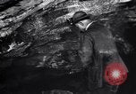Standbild rescue Squad Franklin New Jersey USA, 1914, aus Sekunde 31 historischem Filmmaterial Videoclip 65675028900