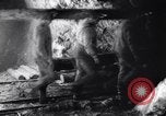 Image of piling timber Franklin New Jersey USA, 1914, second 21 stock footage video 65675028906