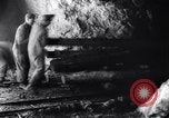 Image of piling timber Franklin New Jersey USA, 1914, second 62 stock footage video 65675028906