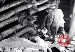Image boîte contenant de la dynamite et de détonateurs Franklin New Jersey USA, 1914, de la seconde 51 séquences d'archives historiques vidéo 65675028922