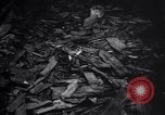 Image le feu du bois refuser Franklin New Jersey USA, 1914, de la seconde 25 séquences d'archives historiques vidéo 65675028925