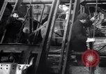Image inspection de hissage des cordes Franklin New Jersey USA, 1914, de la seconde 21 séquences d'archives historiques vidéo 65675028926