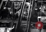 Image inspection de hissage des cordes Franklin New Jersey USA, 1914, de la seconde 26 séquences d'archives historiques vidéo 65675028926
