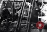 Image inspection de hissage des cordes Franklin New Jersey USA, 1914, de la seconde 36 séquences d'archives historiques vidéo 65675028926