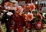 Immagine di Saigon City Hall Saigon Vietnam, 1969, secondo 51 filmato di repertorio 65675028947