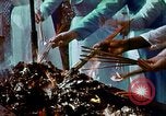 Image of street scenes Saigon Vietnam, 1969, second 56 stock footage video 65675028948
