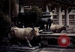 Standbild buddhistische Tempel Bangkok Thailand, 1939, aus Sekunde 57 historischem Filmmaterial Videoclip 65675028958