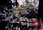 Immagine di I resti di un tempio Siem Reap Cambogia, 1939, secondo 55 filmato di repertorio 65675028959