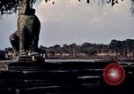 Standbild Angkor Wat in Siem Reap Kambodscha, 1939, aus Sekunde 44 historischem Filmmaterial Videoclip 65675028960