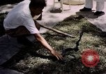 Immagine di Fattoria di serpenti Bangkok in Thailandia, 1939, secondo 9 filmato di repertorio 65675028962