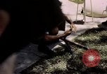 Immagine di Fattoria di serpenti Bangkok in Thailandia, 1939, secondo 13 filmato di repertorio 65675028962