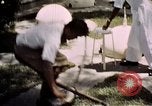 Immagine di Fattoria di serpenti Bangkok in Thailandia, 1939, secondo 15 filmato di repertorio 65675028962