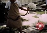 Immagine di Fattoria di serpenti Bangkok in Thailandia, 1939, secondo 16 filmato di repertorio 65675028962