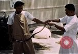 Immagine di Fattoria di serpenti Bangkok in Thailandia, 1939, secondo 18 filmato di repertorio 65675028962