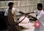 Immagine di Fattoria di serpenti Bangkok in Thailandia, 1939, secondo 20 filmato di repertorio 65675028962